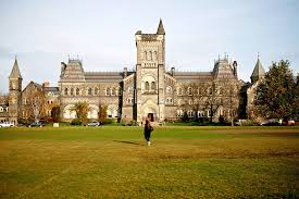 多伦多大学